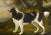 George Garrard  1760-1826  Water spaniel