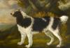 George Garrard  1760-1826  Water spaniel