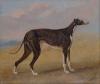 George Garrard  1760-1826  Turk a greyhound the property of George Lane