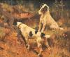 Arthur  Wardle  1864-1949
