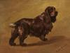 Arthue Wardle A field spaniel