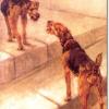 Welsh terriers by Maud Earl