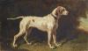 Alfred de Dreux    1810-1860   Chien à l'arrêt