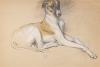 Arthur  Wardle  1864-1949