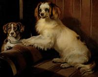 Bony and var sir edwin landseer divers