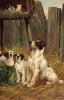Arthur  Wardle  1864-1949