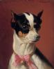 Carl Reichert  1836-1918   Pinscher nain