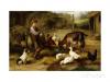 Charles Hunt   1803-1877    A boy with poultry and a goat in a farmyard