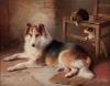 Walte  Hunt  1861-1941  Collie