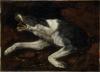 Frans Snyders 1579-1657
