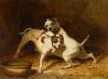 Alfred de Dreux    1810-1860   Deux dogues jouant devant une écuelle
