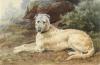 Edmund  Osthaus   Scottish deerhound in a highland landscape