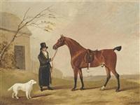 Edwin cooper a bay hunter with his groom