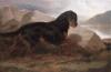 Edwin Douglas    A Gordon setter near a loch