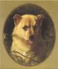 Edwin Douglas    1848-1914    Puppy