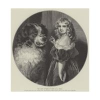 landseer