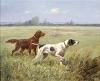 Eugene Petit   Pointer and a setter in a landscape