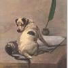 Fox terrier puppy by Maud Earl