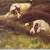 Fox terriers by Maud Earl