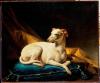 Francois-André  Vincent      Diane la chienne levrette de Bergeret   1774