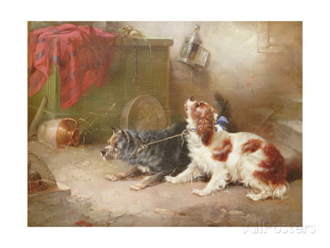 George Armfield a terrier and a king charles spaniel scaring a rat