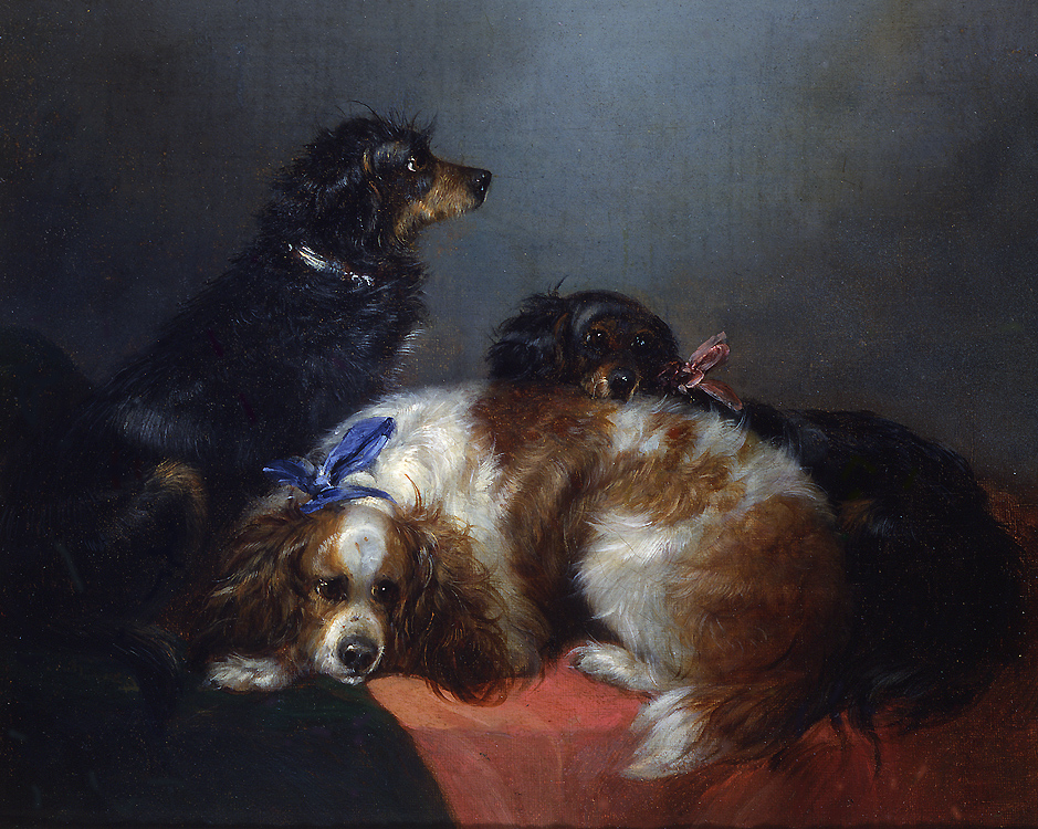 George Armfield  two king charles spaniels and a terrier