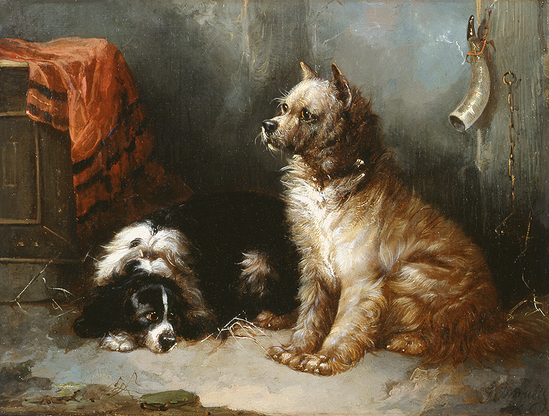 George Armfield  a terrier and a king charles spaniel