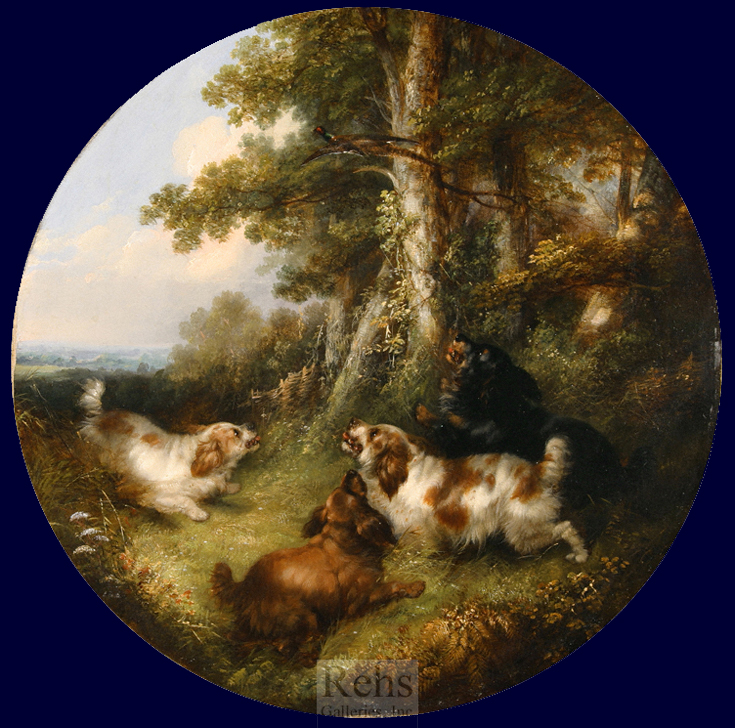 George Armfield  spaniels flushing pheasants