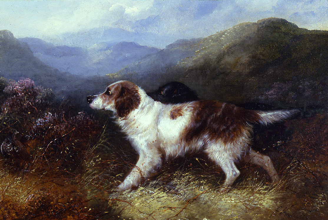 George Armfield  two setters in a landscape