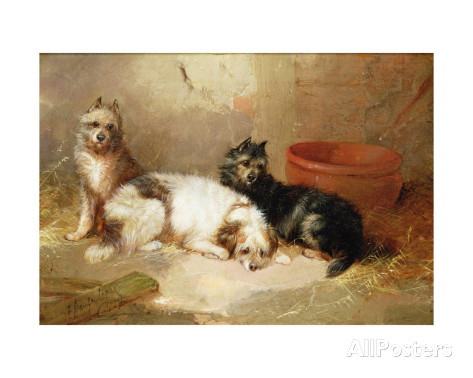 George Armfield three terriers