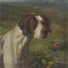 George earl a pointer in a moorland landscape