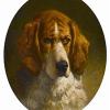George Earl study of a hound
