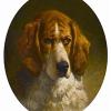 George Earl study of a hound