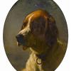 George Earl study of the head of a hound