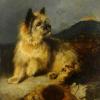 George Earl terrier