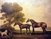 George Stubbs    An arabian mare and a younger horse confronting a water spaniel   1780