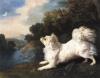 George Stubbs     Portrait of a spanish dog belonging to Mr Cosway chasing a butterfly    1775