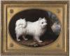 George Stubbs    Portrait of Mrs french s white lap dog   1782