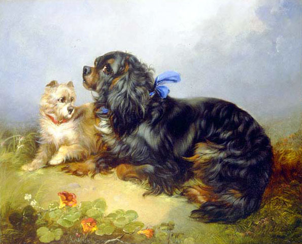 George Armfield king charles spaniel and a terrier