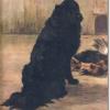 Hutchinsons book of the dog Maud Earl black chow chow