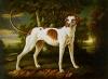 Jacques-Charles Oudry a hound in a landscape