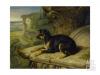 James Ward   Fanny a favourite dog  1822
