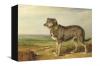 James Ward   Portrait of Vic a spanish bloodhound  1818