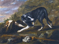 Jan fyt a hound with a rabbit and a musket in a landscape