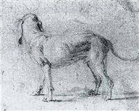 Jan fyt study of a dog