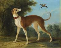 Jean baptiste oudry levrier sur fond de paysage 1746