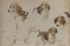 John charlton driver tempest trife bachelor and pilgrim a sketch of five hounds