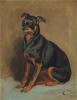 John Charlton a Manchester Terrier