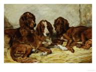 John emms shot and his friends three irish red and white setters 1876