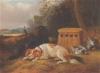 John Gifford spaniels after the hunt